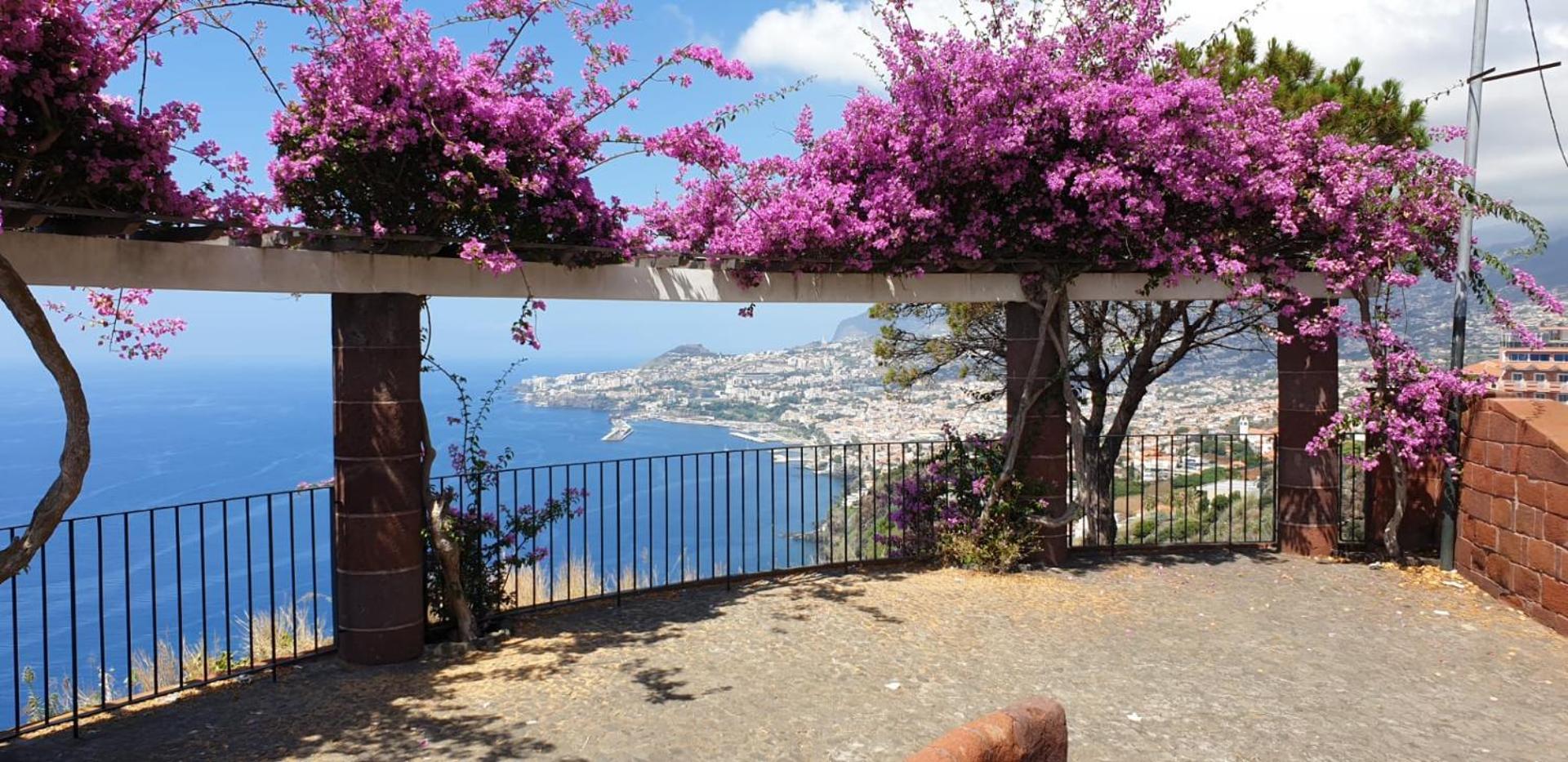 Shearwaters - Sounds Of The Sea Leilighet Funchal  Rom bilde